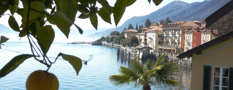 Cannero Riviera - Kamelienausstellung am Westufer des Lago Maggiore 