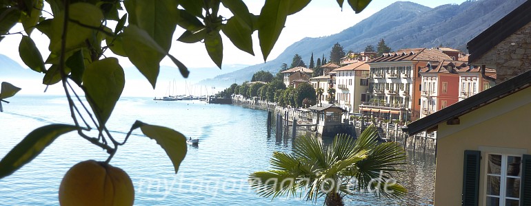 Cannero Riviera - Kamelienausstellung am Westufer des Lago Maggiore 